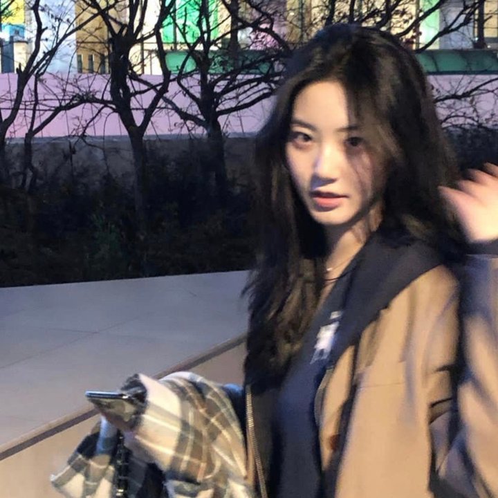 蝴蝶夫人的现代家庭 海报