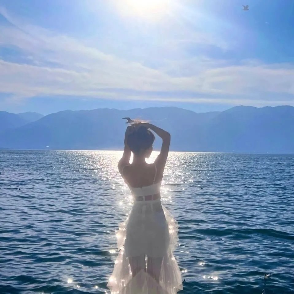 宠物情缘粤语 海报